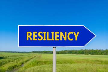 Resiliency symbol. Concept word Resiliency on beautiful blue road sign. Beautiful blue sky green grass and forest peaceful nature background. Business resiliency concept. Copy space.