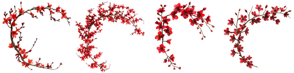 Red cherry blossom curved branch set isolated on transparent background

