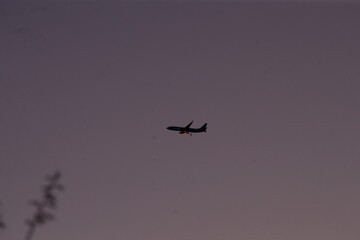 A plane is majestically flying in the sky during a beautiful sunset, showcasing the wonders of aviation and flight dynamics