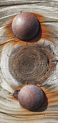 Close-up of rusty bolts embedded in aged wooden planks with visible growth rings and weathered cracks, creating a natural industrial texture background