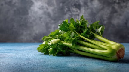 Fresh celery stalk close up on blue background offers healthy vegan and vegetarian food and nutrition ideas