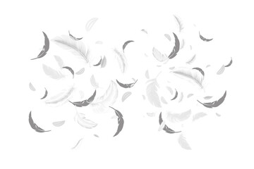 Elegant White and Black Feathers Falling on Black Background: Serene, Dreamlike, Abstract Design