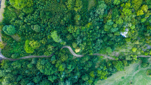 Top-down aerial photo of a winding forest trail weaving through dense green vegetation and wild terrain