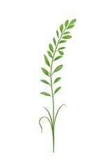 Obraz premium Flat vector of green grass plant leaf art.