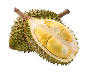 Fototapeta premium Fresh durian fruit with thorny shell and yellow flesh on white background for exotic food lovers