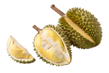 Fresh durian fruit sliced open showing creamy yellow flesh against a white background in studio shot