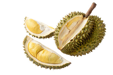 Fototapeta premium Fresh durian fruit whole and sliced open revealing yellow flesh and spiky shell isolated on white
