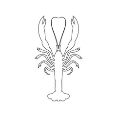 Langoustines, Norway lobsters seafood outline vector icon on white. Top most popular shellfish and crustaceans. Vector EPS 10. For platform action promotion and advertising mockup. For your project.