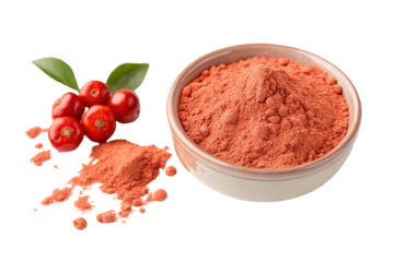 Cranberry powder in ceramic bowl with fresh berries and leaves for healthy food and drink recipes