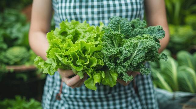 Fresh Greens: Woman holding locally grown lettuce and kale, harvested fresh from the garden. - Powered by Adobe