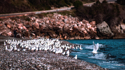 fishing nets in the sea