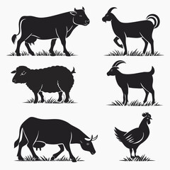 Farm and Domestic Animals

