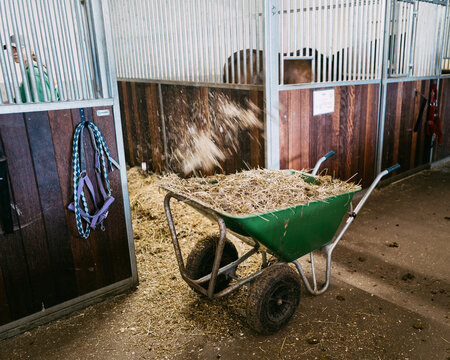 Rural Stable Scene with Green Wheelbarrow Filled with Fresh Hay and Tack Hanging in Horse Barn Stalls for Equestrian and Farm Life Atmosphere