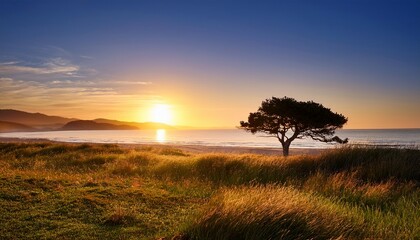 serene coastal scene with solitary tree at sunset overlooking calm waters and gentle grass evoking peacefulness and natural beauty near the ocean shoreline