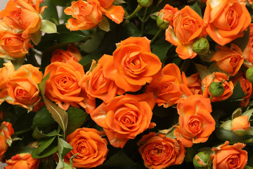 mixed flower bouquet of various types of flowers and colors