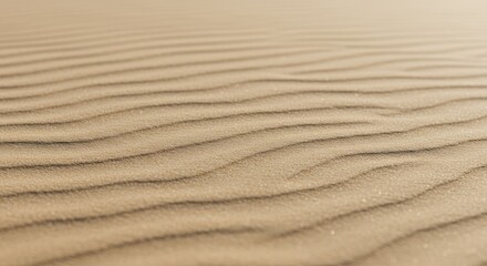 Close-up view of rippled desert sand (1)