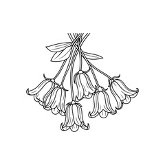 A bundle of  realistic Vector flower icons  black on a white background with showing bluebells hanging.