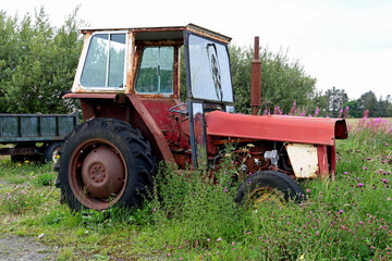 Old Abandoned and Derelict Tractor in an Overgrown Farm Yard Location