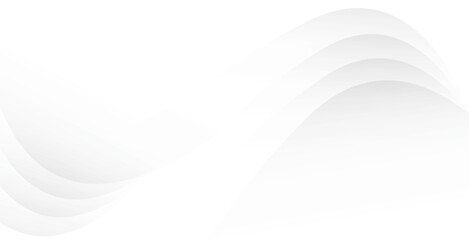 White Gradient Wave Background with Soft Abstract Curves

