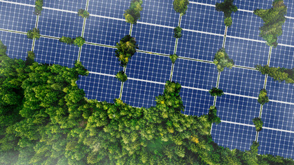Green Business Investment, Finance, Environment Sustainable Investment Concept. Solar panels that receive energy from the sun. Electric generators in the big forest.
