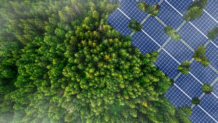 Fotobehang Afrika Green Business Investment, Finance, Environment Sustainable Investment Concept. Solar panels that receive energy from the sun. Electric generators in the big forest.  © Philip