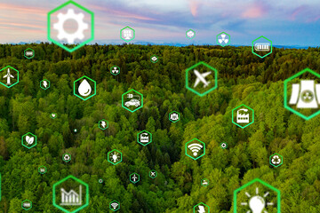 Environmental protection, renewable, sustainable energy sources. Plant growing in the bulb concept.sustainable development. ecology and world sustainable environment concept.