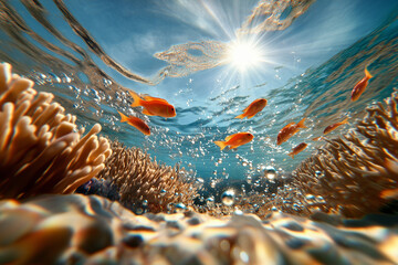 Underwater view of orange fish swimming above coral reef with sun shining through water surface