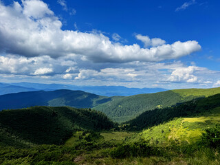 Naklejka premium Amazing sunny landscape with pine tree highland forest at Carpathian mountains under blue sky.