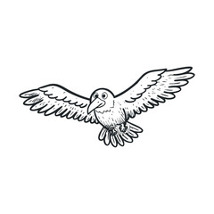 Obraz premium Bird in flight showcasing freedom and grace in nature