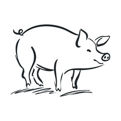 Fototapeta premium Joyful pig walking in a sunny meadow, perfect for farm themes