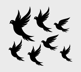 Obraz premium Birds fly in the sky