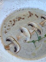 Plate of mushroom cream soup garnished with microgreens. Sebring dish in an Italian restaurant.