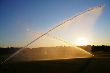 Sunset Irrigation Sprinkler on Golf Course Field - Water Spray and Golden Hour Light