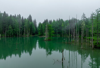 Borcka Karagol ( Black Lake ) in Artvin Province of Turkey