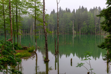 Borcka Karagol ( Black Lake ) in Artvin Province of Turkey