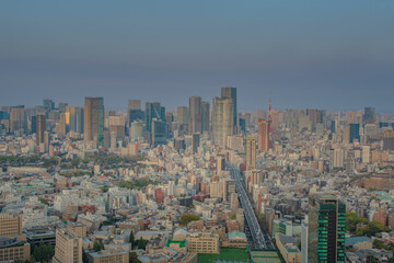 Hive Mind of New York