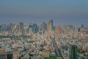 Hive Mind of New York