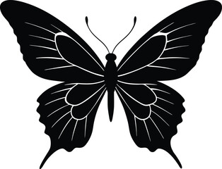 Silhouette of butterfly wings open in flight | Butterfly gliding with wings spread silhouette