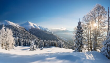 Obraz premium winter landscape with snow