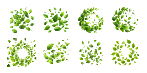 Collection of swirling green leaves isolated on transparent background