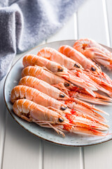 Scampi langoustine on plate on white table.