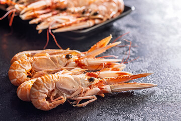 Scampi langoustine on black table.