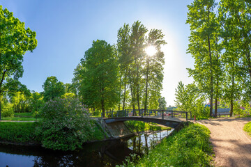 A tranquil footbridge over a park canal in Ekateringof Park, where water mirrors the sky and lush greenery. Sunlight filters through trees, casting beautiful light patterns . Saint Petersburg, Russia.