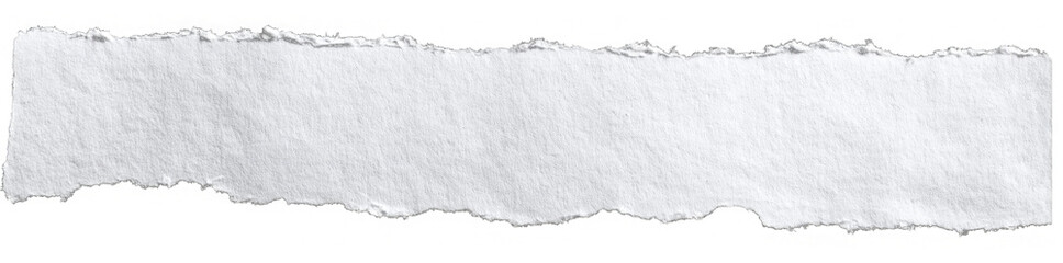 Torn Paper Edge: Isolated Ripped Fragment, png