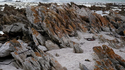 Textured coastal rocks covered with orange lichen on sandy beach with ocean in background


