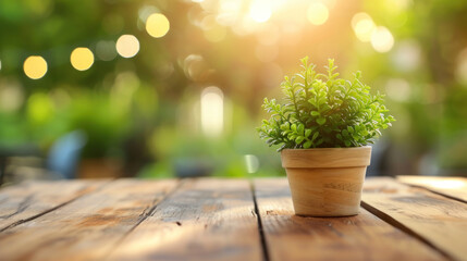 Small potted plant on wooden table with a bokeh background of natural green foliage and sunlight.