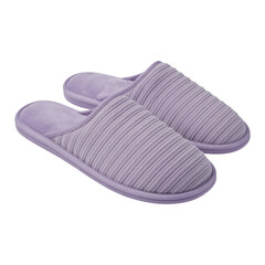 Soft Purple House Slippers Isolated on White
