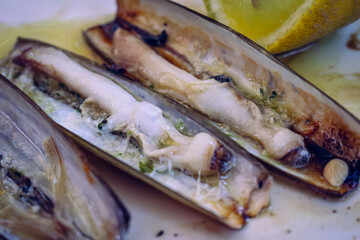Delicious Spanish razor clams. Edible marine fauna.