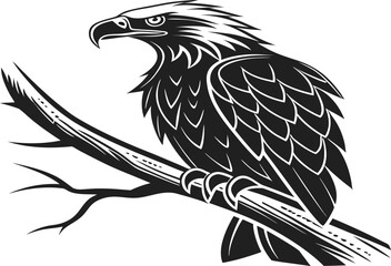 eagle on a white background