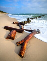 Driftwood on sandy beach, waves